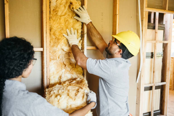 Best Soundproof Insulation  in Palmer Ranch, FL