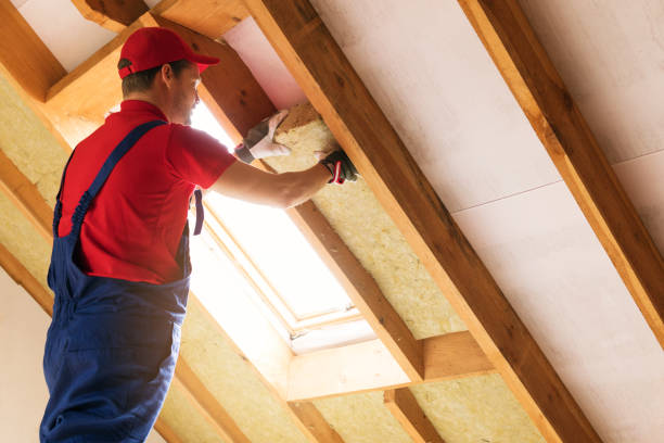 Best Spray Foam Insulation  in Palmer Ranch, FL